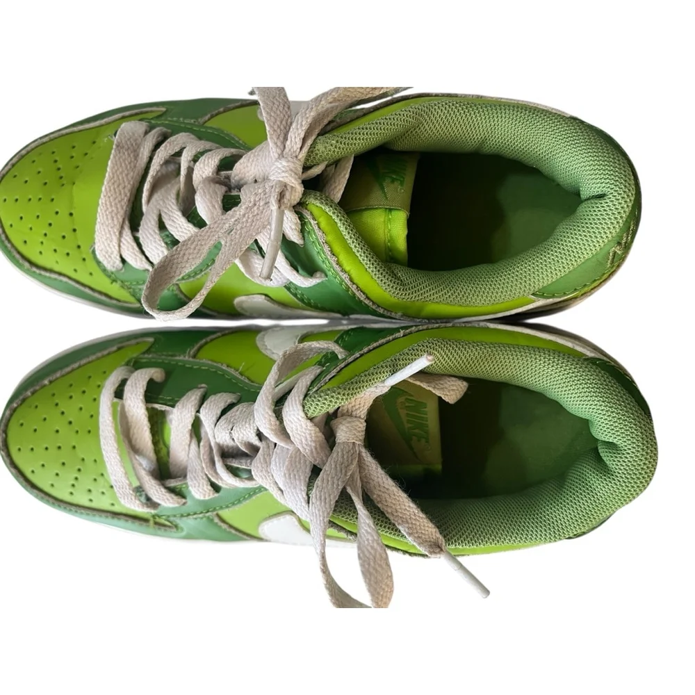 Nike Dunk Low Chlorophyll Green Size 8 Women's Sneaker Shoe Streetwear Casual